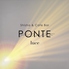 PONTE luce ポンテ ルーチェのロゴ