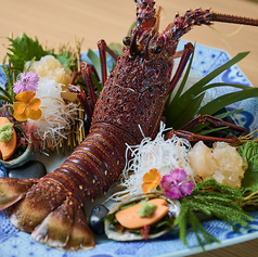 伊勢海老の活造り