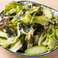 新鮮野菜のグリーンサラダ