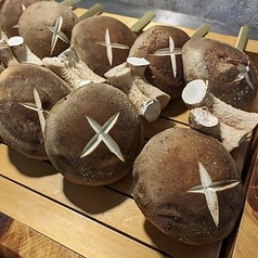 椎茸