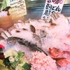 肥後の海賊 前川水軍 光の森店のURL1