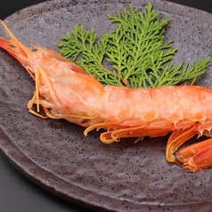 海鮮有頭エビ/海鮮イカ