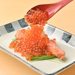 全席個室の居酒屋で、京都の風情と共に美味しい料理を堪能