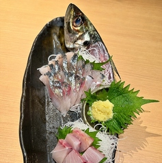 真あじ姿づくり