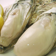 【新鮮な牡蠣が年中食べ放題☆】生牡蠣・蒸し牡蠣・焼き牡蠣の写真