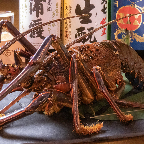 �n�����͂���