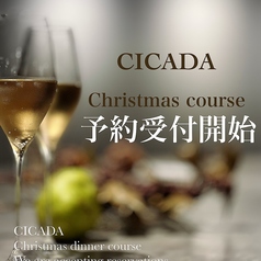 CICADA シカーダのコース写真