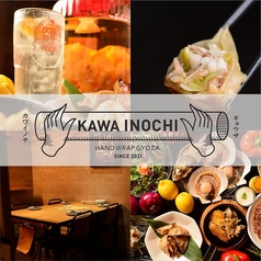 餃子とレモンサワー KAWAINOCHIの写真