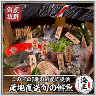職人厳選！朝競り鮮魚の豪華盛り合わせを【海王】で