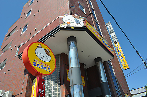 カラオケ まねきねこ 野幌店 江別 カラオケ パーティ ホットペッパーグルメ