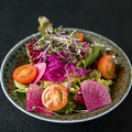 料理メニュー写真&nbsp;彩り野菜のサラダ