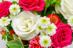 嘉肴萬菜 まるいけ ○いけの特集写真