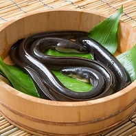 本物の味を堪能◎厳選された国産鰻を低価格でご提供！