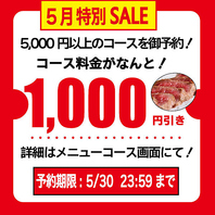 【5月特別SALE】
