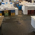 この市場は、地元の漁業と食文化を支える重要な拠点です。仕入れに訪れた人々は、品質や価格を見極めながら、活気ある雰囲気の中で新鮮な魚介類を選んでいます。当店では市場から仕入れた新鮮な食材を使った料理が並び、様々なメニューがお楽しみいただけます♪