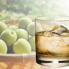 八助梅酒(ロック/ソーダ)