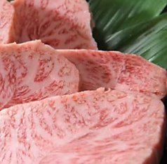 Reine 〈要予約〉