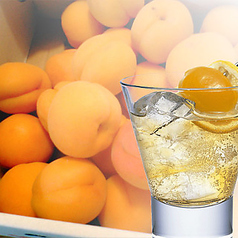 あんず酒(ロック/ソーダ)