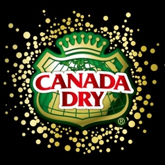 ジンジャー酎ハイ