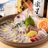 【大衆だけど本格派】長浜市場直送の鮮魚。じっくり出汁をとった熱々おでん。カラッと揚がる串天。料理長の厳選料理の数々をご用意しております。