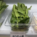 料理メニュー写真 ほうれん草