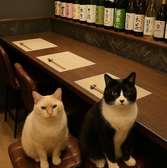 カウンター席はシンプルで落ち着いた雰囲気が魅力の一つ。友人との楽しいひと時や、一人飲みにもぴったりなお席です。お仕事帰りなどのご利用にいかがでしょうか？居心地の良い空間でリラックスしながらお食事を堪能ください。