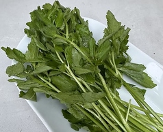 マシゴモッタ masigomottaのコース写真