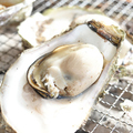 料理メニュー写真&nbsp;牡蠣 1kg