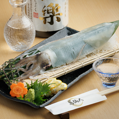 イカの姿造り(2~3人前)