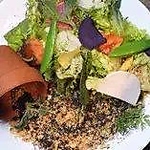 店主が信頼できる農家さんから直接仕入れているこだわり野菜の数々！見た目も味も良く、ハッピーに！