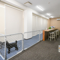 【室内ドッグラン完備】雨の日も暑い日も安心！広々とした室内ドッグランでワンちゃんと一緒にのびのび遊べるカフェ。愛犬とくつろげるカフェスペースやワンちゃんメニューも充実。愛犬家同士の交流にも◎