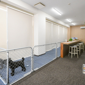 【室内ドッグラン完備】雨の日も暑い日も安心!広々とした室内ドッグランでワンちゃんと一緒にのびのび遊べるカフェ。愛犬とくつろげるカフェスペースやワンちゃんメニューも充実。愛犬家同士の交流にも◎
