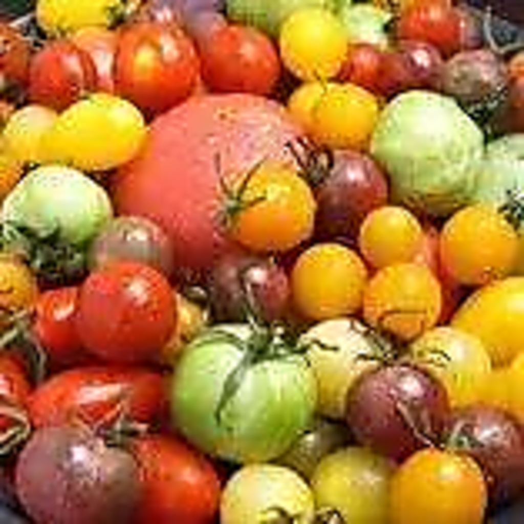 毎日仕入れているから旬の新鮮な野菜をご堪能いただくことが可能です。変わった野菜と出会えるかも？