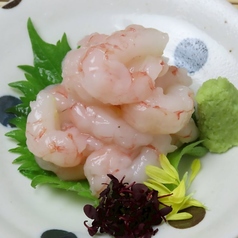 甘海老のお造り