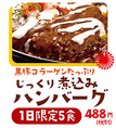じっくり煮込みハンバーグ☆488円(税別)