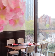 シュラスコレストラン ALEGRIA ueno アレグリア 上野のコース写真