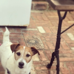 テラス席はペット同伴OK!リードフックもございます♪お気軽に◎