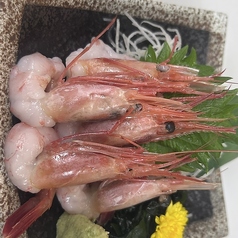 甘エビ
