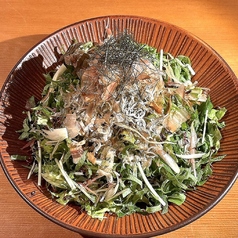 にくまにあサラダ/塩チョレギサラダ/サンチュセット