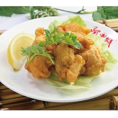 鶏肉の唐揚げ