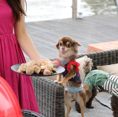 愛犬と一緒に楽しめる「ペットフレンドリー」