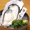 OYSTER LOVERS オイスターラバーズのおすすめポイント2