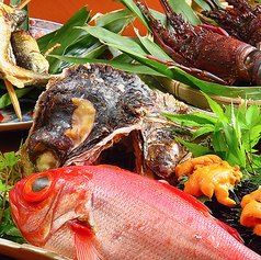 壱献はなれ特集写真1