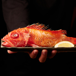【新鮮！美味い！安い！】新鮮な魚は市場から毎朝渋谷へ！◇渋谷 居酒屋 女子会 貸切 合コン◇