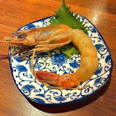 赤海老の醤油漬け（一尾）