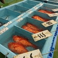 確かな目利きで仕入れた自慢の鮮魚をお楽しみください
