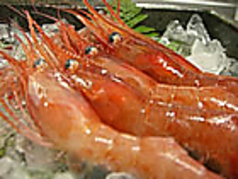 御りょうり離世のコース写真