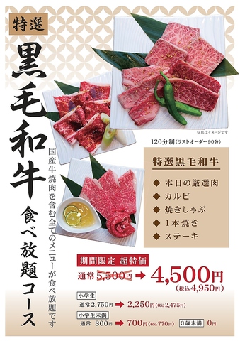 焼肉 ふうふう亭 柏東口店 柏 焼肉 ホルモン ネット予約可 ホットペッパーグルメ