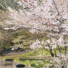 森の邸宅 彩音 アノンの外観1