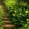 【春】遊歩道　山吹の階段